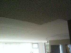 Remove Ceiling Texture dot Com (Vancouver, BC)